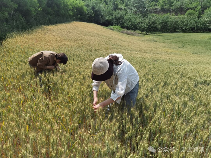 640 (1).jpg 640 (1).jpg