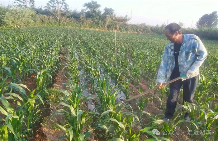 640.webp.jpg 640.webp.jpg