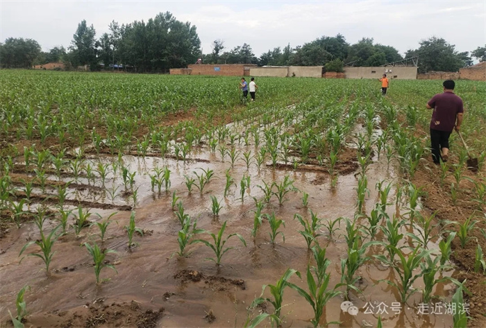 640.webp.jpg 640.webp.jpg