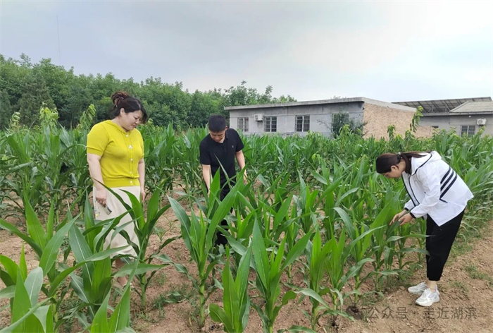 1.webp.jpg 1.webp.jpg