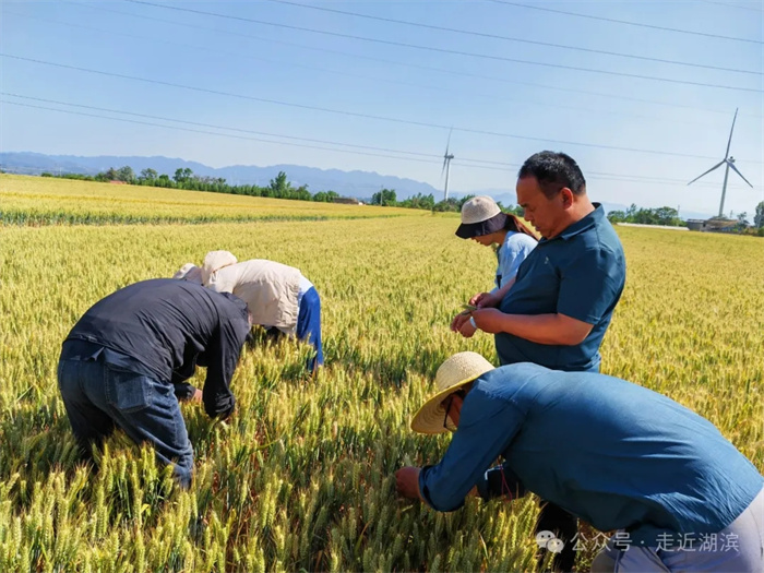 3.webp.jpg 3.webp.jpg