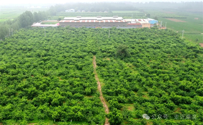 4.webp.jpg 4.webp.jpg