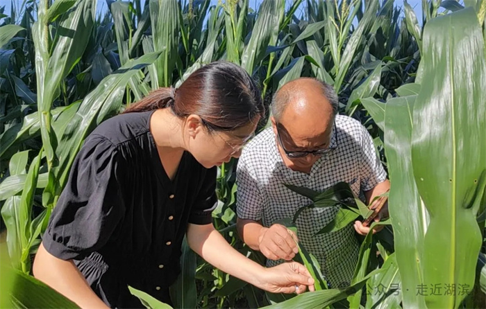 640.webp (2).jpg 640.webp (2).jpg