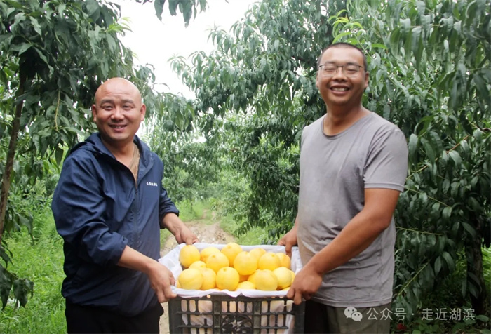 3.webp.jpg 3.webp.jpg