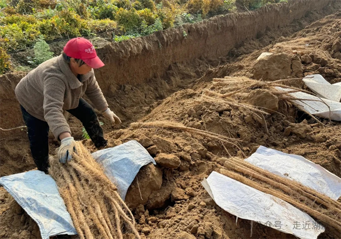 640.webp.jpg 640.webp.jpg