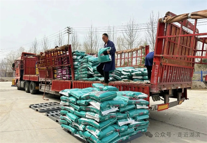 1.webp.jpg 1.webp.jpg