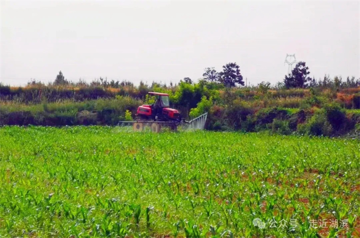 3.webp.jpg 3.webp.jpg