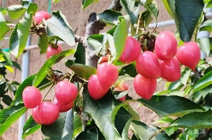 640 (3).jpg 640 (3).jpg