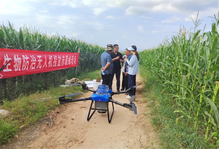 1.webp.jpg 1.webp.jpg