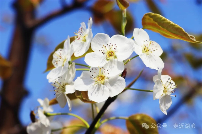 1.webp.jpg 1.webp.jpg