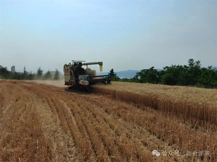 2.webp (1).jpg 2.webp (1).jpg