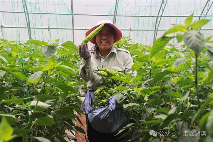 1.webp.jpg 1.webp.jpg