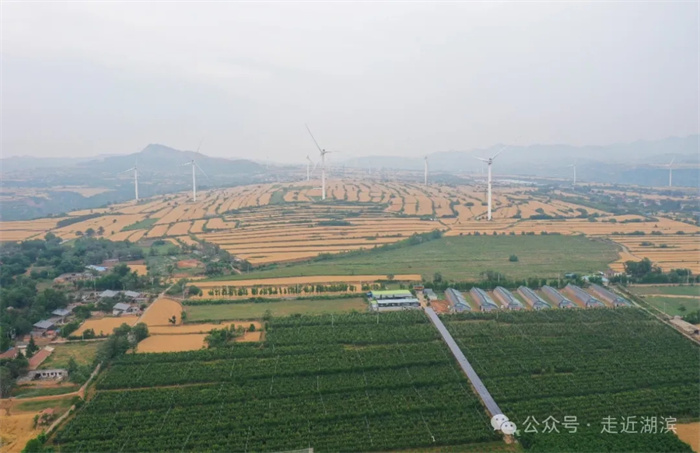 5.webp.jpg 5.webp.jpg