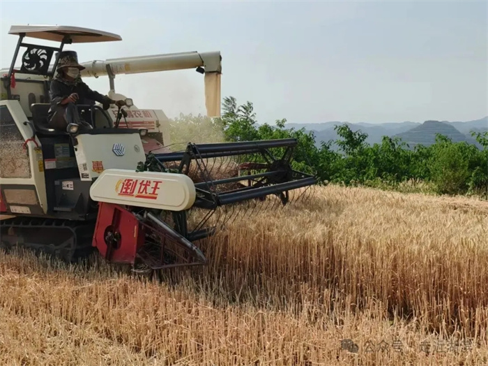 1.webp (1).jpg 1.webp (1).jpg