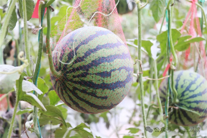 2.webp.jpg 2.webp.jpg