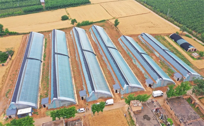 4.webp.jpg 4.webp.jpg