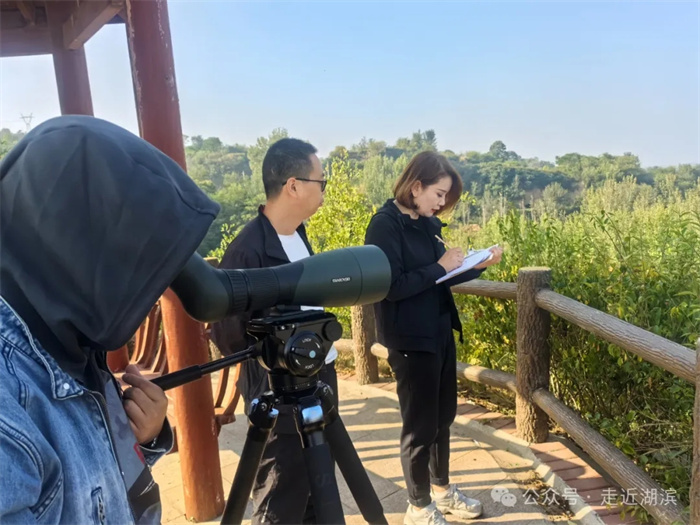 640.webp (1).jpg 640.webp (1).jpg