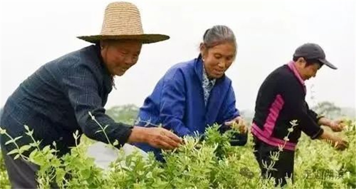 640 (2).jpg 640 (2).jpg